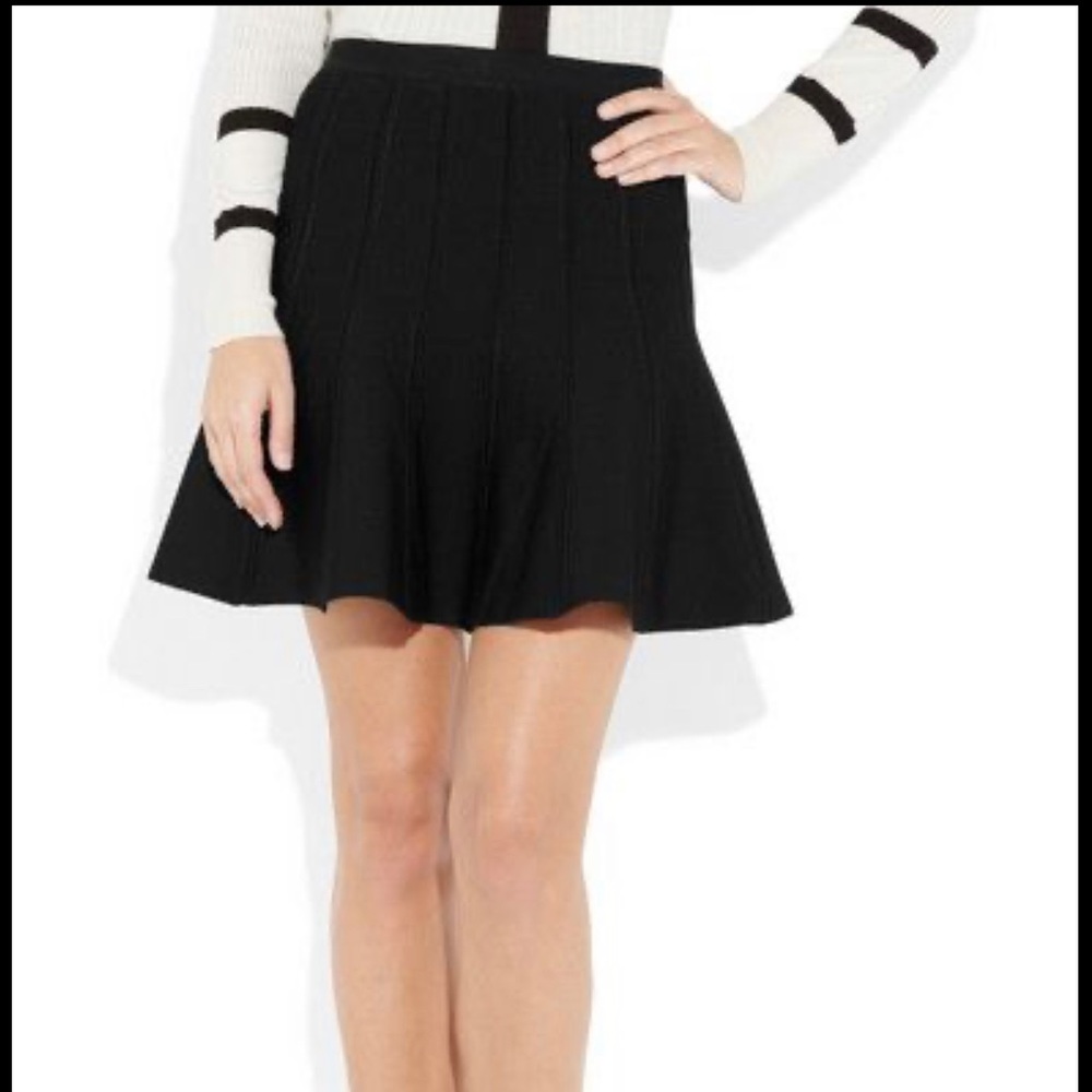 Herve Leger Skirt